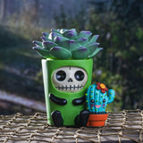 Furrybones - Echy Scucculent Cactus Plant Figurine 13872