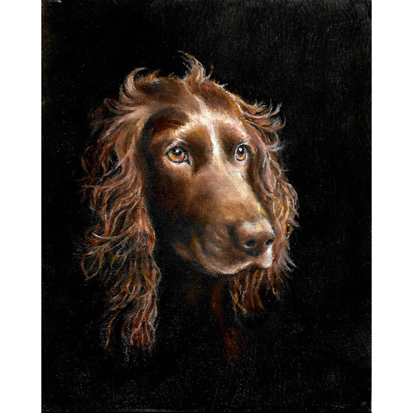 Original Dog Portrait Oil Painting - Boykin Spaniel