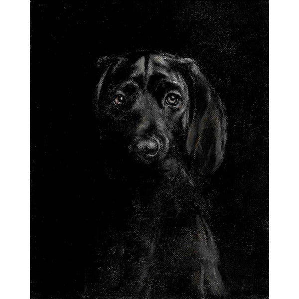 Original Dog Portrait Oil Painting - Great Dane Puppy