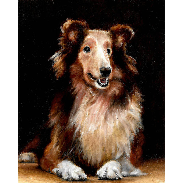 Original Dog Portrait Oil Painting - Shetland Sheepdog