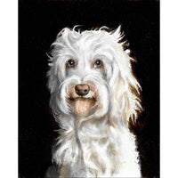 Original Dog Portrait Oil Painting - Australian Cobberdog