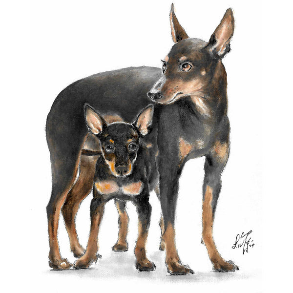 Original Dog Portrait Oil Painting - Manchester Terrier