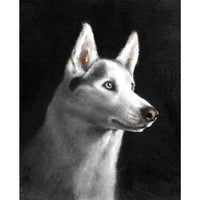 Original Dog Portrait Oil Painting - Siberian Husky