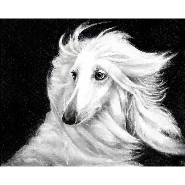 Original Dog Portrait Oil Painting - Afghan Hound