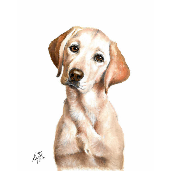 Original Dog Portrait Oil Painting - Yellow Labrador Retriever Puppy