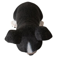 Pacific Giftware - Boston Terrier Puppy Dog Figurine 15926