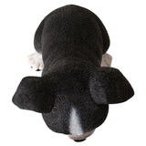 Pacific Giftware - Boston Terrier Puppy Dog Figurine 15926