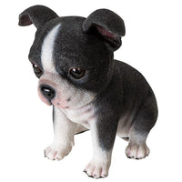 Pacific Giftware - Boston Terrier Puppy Dog Figurine 15926