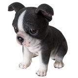 Pacific Giftware - Boston Terrier Puppy Dog Figurine 15926