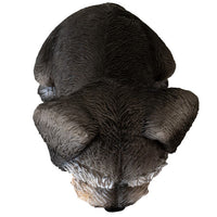 Pacific Giftware - Schnauzer Puppy Dog Figurine 15935