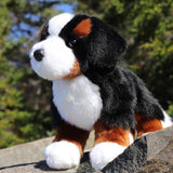Douglas Cuddle Toys - Bernese Mountain Dog Stevie Plush 1710