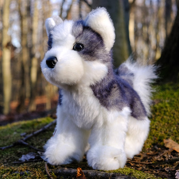 Douglas Cuddle Toys - Siberian Husky Dog Plush Blaze 1736