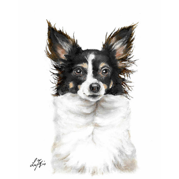 Original Dog Portrait Oil Painting - Long Haired Chihuahua