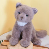 Douglas Cuddle Toys - Kneadie Cat Plush 1921