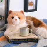 Douglas Cuddle Toys - Ragdoll Cat Kiki Plush Stuffed Plushie 284