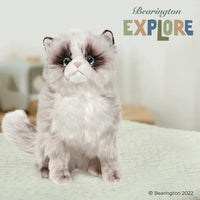 Bearington - Himalayan Cat Plush Toy 519819
