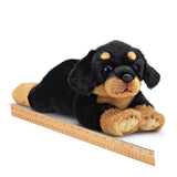 Bearington - Rottweiler Plush Toy Rottie Dog Plushie Gunner 519903