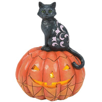 Jim Shore Heartwood Creek - Purr-fect Pumpkin Black Cat on Pumpkin LED Halloween Figurine 6014479
