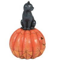 Jim Shore Heartwood Creek - Purr-fect Pumpkin Black Cat on Pumpkin LED Halloween Figurine 6014479