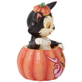 Jim Shore x Disney Traditions - Figaro Cat Jack-O-Lantern Halloween Pinocchio Figurine 6016583