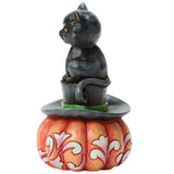 Jim Shore Heartwood Creek - Meow-gical Halloween Black Cat on Pumpkin Figurine 6018082