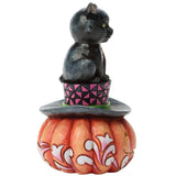Jim Shore Heartwood Creek - Meow-gical Halloween Black Cat on Pumpkin Figurine 6018082