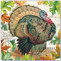 Michel Design Works - Fall Harvest Turkey Luncheon 20-Count Napkin Set