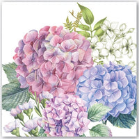 Michel Design Works - Wild Hydrangea Luncheon 20-Count Napkin Set