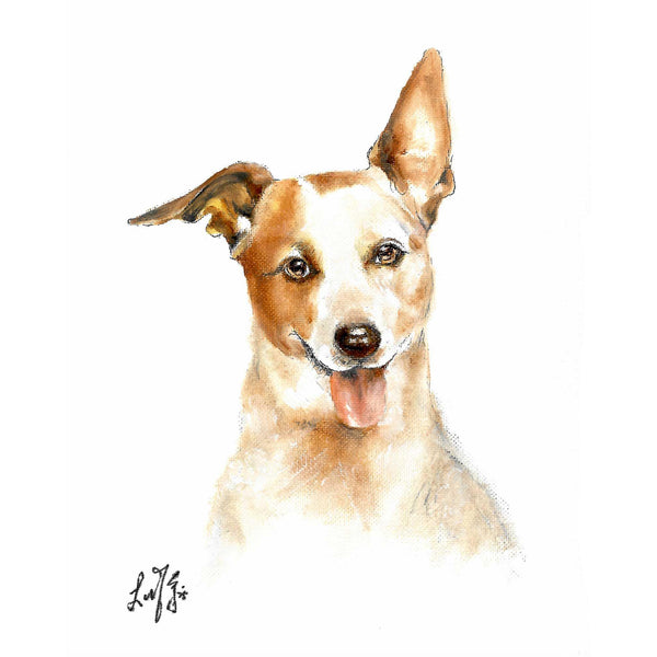 Original Dog Portrait Oil Painting - Australian Cattle Dog