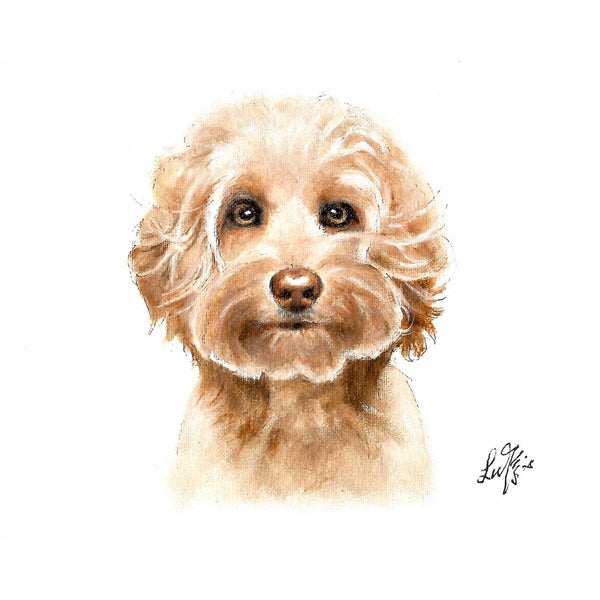 Original Dog Portrait Oil Painting - Australian Labradoodle