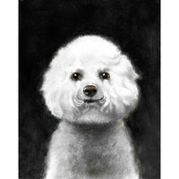 Original Dog Portrait Oil Painting - Bicon Frise