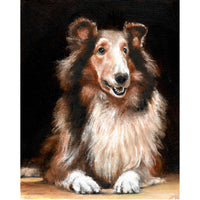 Original Dog Portrait Oil Painting - Shetland Sheepdog