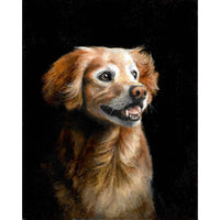 Original Dog Portrait Oil Painting - Golden Retriever