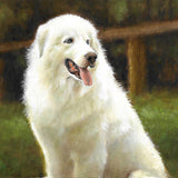 Featured Product - Artist Signed Original Great Pyrenees Dog Portrait Oil Painting