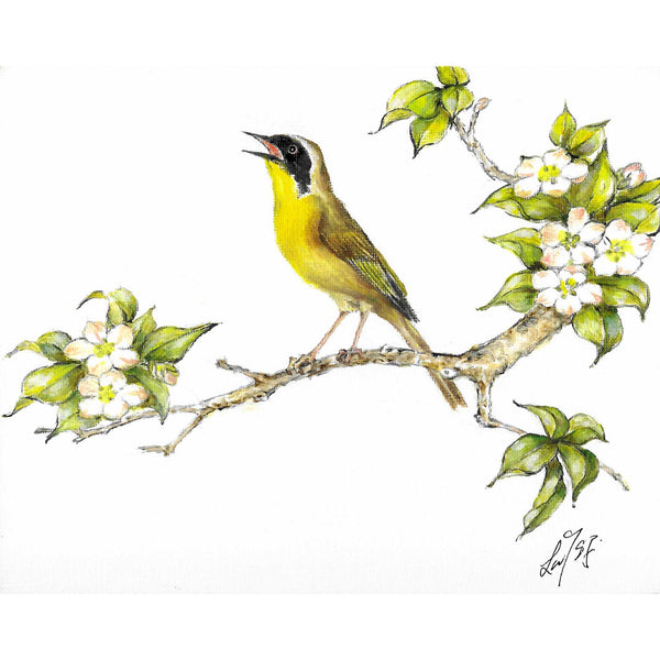 Original Bird Portrait Oil Painting - Common Yellowthroat