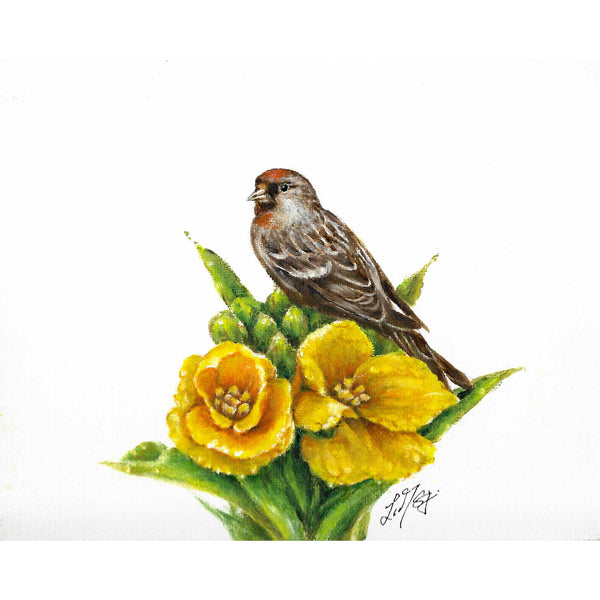 Original Bird Portrait Oil Painting - Common Redpoll