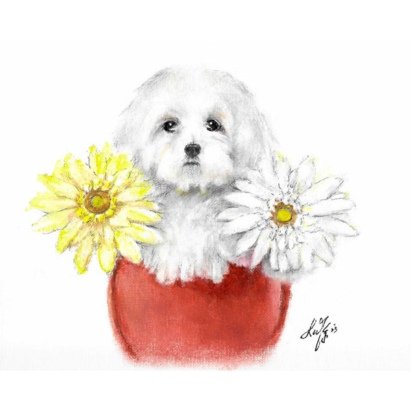 Original Dog Portrait Oil Painting - Maltese with Flowers