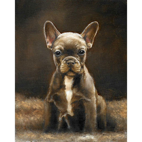 Original Dog Portrait Oil Painting - French Bulldog