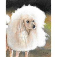 Original Dog Portrait Oil Painting - White Poodle