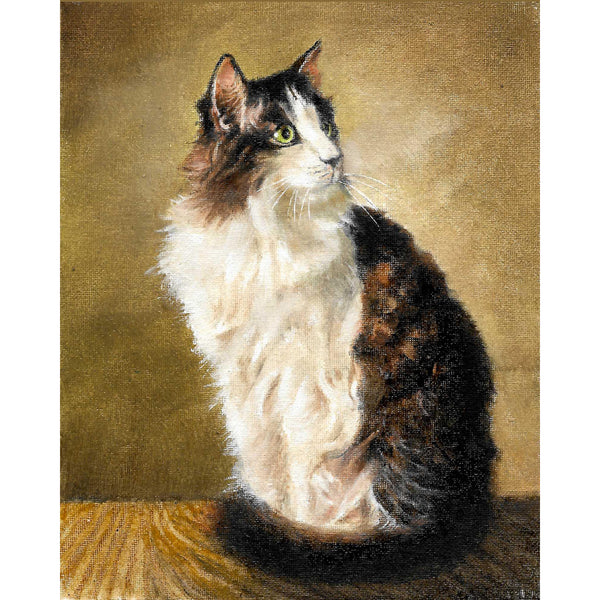 Original Cat Portrait Oil Painting - Siberian Kitten Classic Realism