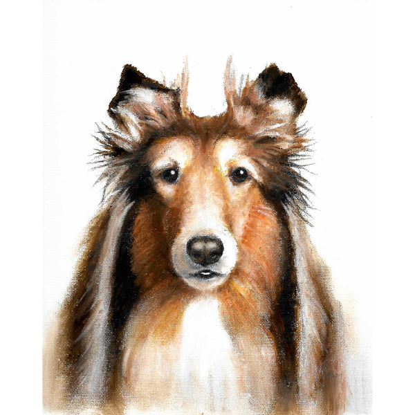 Original Dog Portrait Oil Painting - Rough Collie