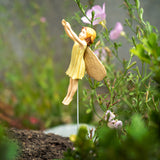 Cicely Mary Barker - Hazelnut Flower Fairy Garden Stake Y9335