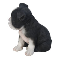 Puppy Dogs - Boston Terrier Figurine