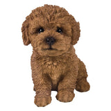 Pacific Giftware - Puppy Dogs Brown Bichon Frise Figurine 13072