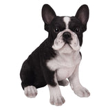 Pacific Giftware - French Bulldog Dog Figurine 13073