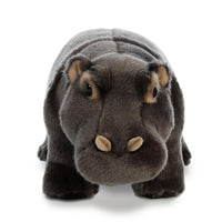 Aurora - Hippopotamus Plush Toy