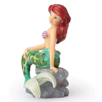 Disney Traditions Collection by Jim Shore Little Mermaid Seashell