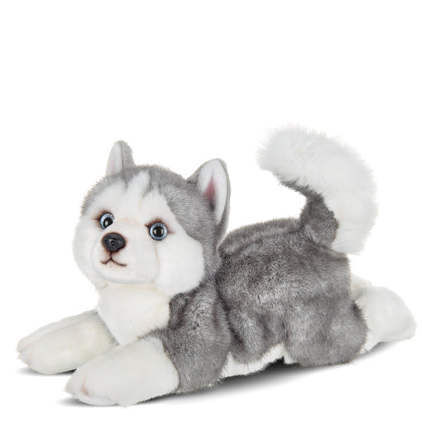 "Sale" Bearington - Siberian Husky Plush Toy Stuffed Dog Plushie 519993
