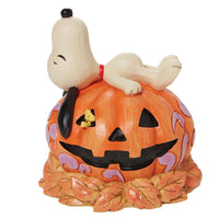 Jim Shore Peanuts - Woodstock & Snoopy Sleep on Jack-O-Lantern Pumpkin Halloween Figurine 6008966
