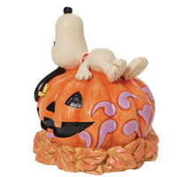 Jim Shore Peanuts - Woodstock & Snoopy Sleep on Jack-O-Lantern Pumpkin Halloween Figurine 6008966